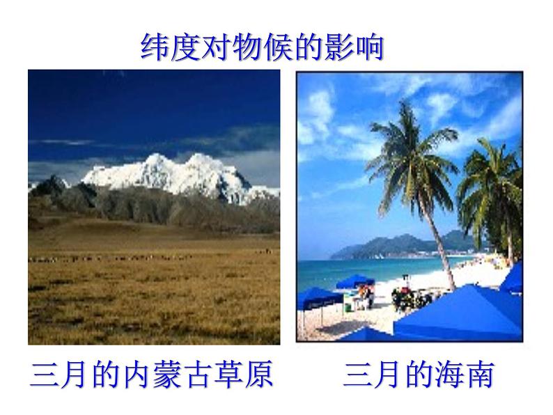 大自然的语言 课件第6页