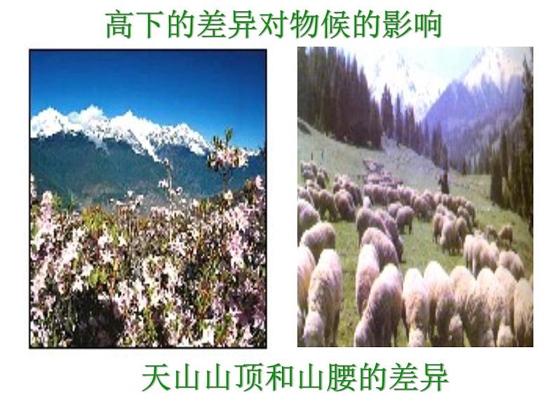 大自然的语言 课件第8页