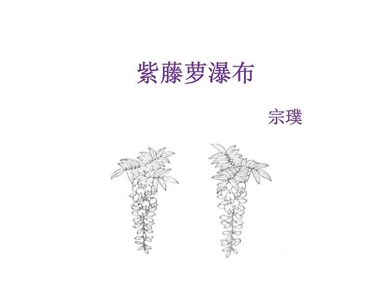 紫藤萝瀑布 课件第4页