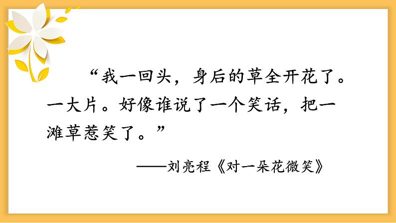 热爱生活之学会观察课件第4页