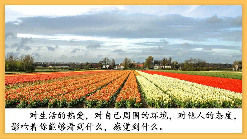 热爱生活之学会观察课件第5页