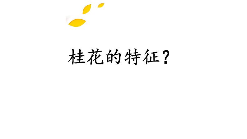 热爱生活之学会观察课件第8页