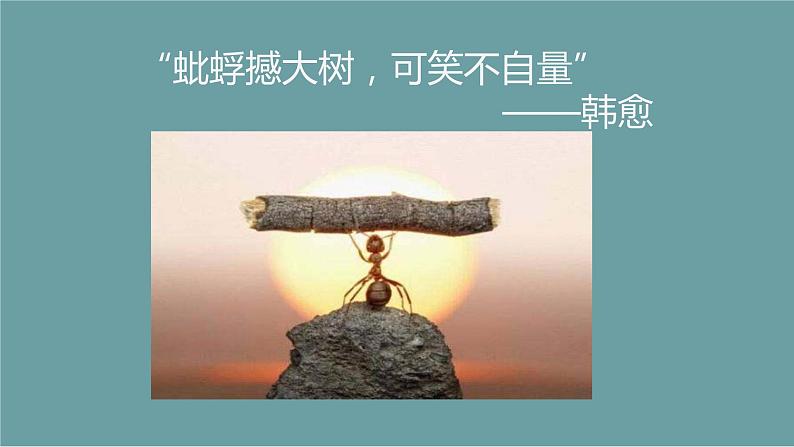 2023届人教部编版语文中考记叙文阅读复习课件：人物作用第2页