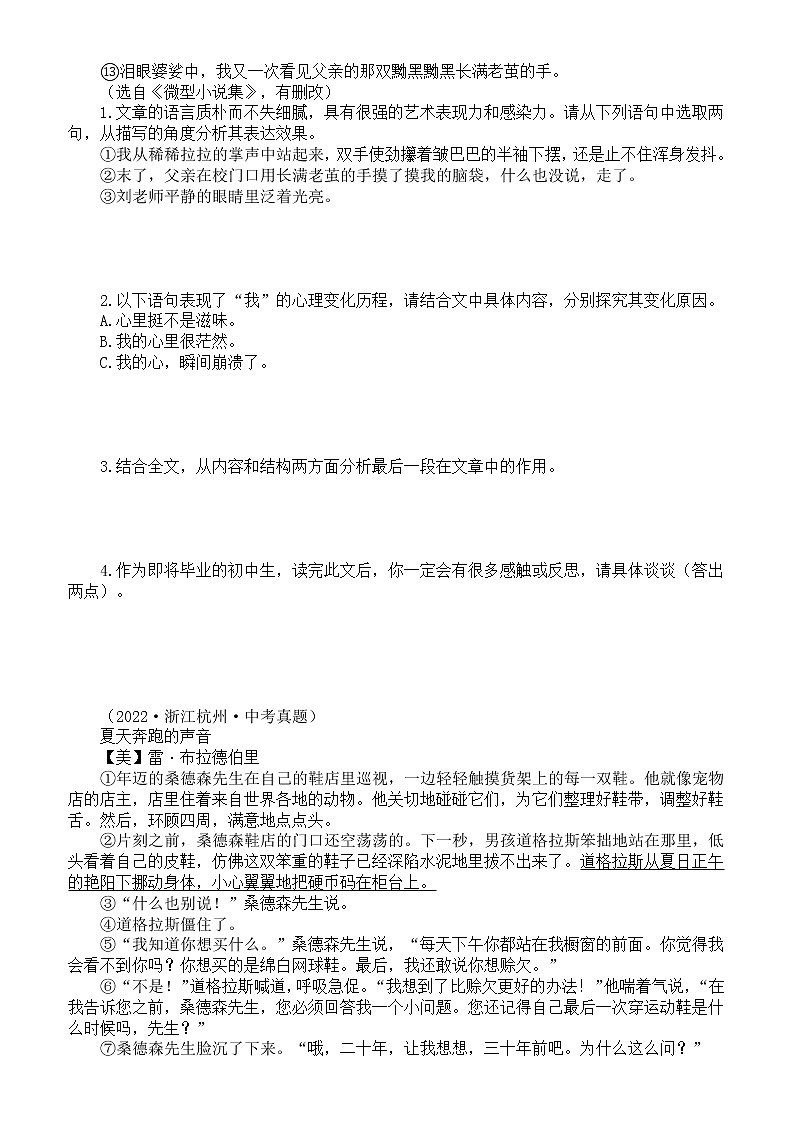 2023届人教部编版语文中考记叙文阅读专题课件：小说阅读专项练习第2页