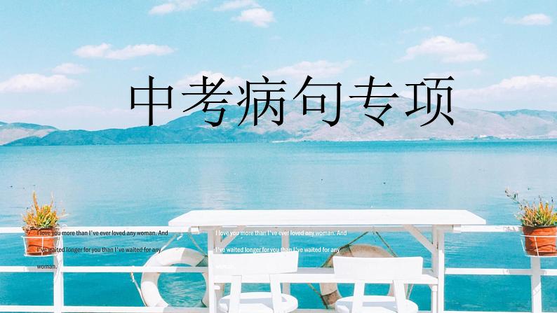 2023届人教部编版语文中考病句复习课件第1页