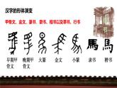2023届人教部编版语文中考字形专题3：汉字基础课件