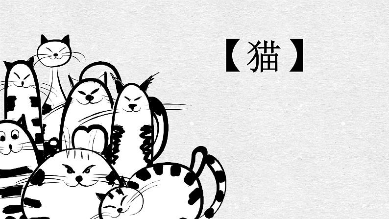 猫 教学课件01
