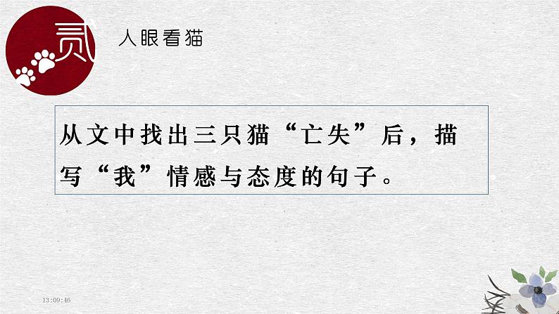 猫 教学课件04