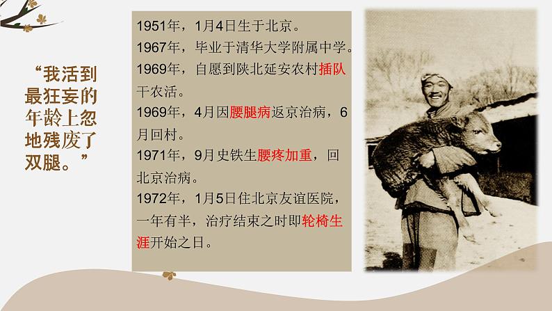 秋天的怀念 课件03