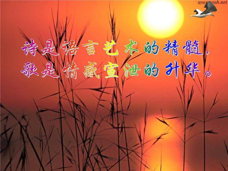 蒹葭 教学课件第1页