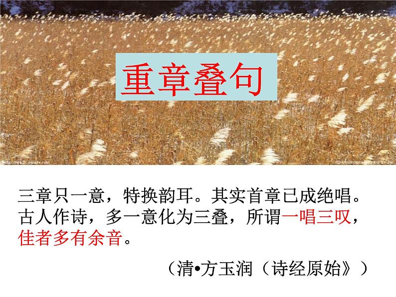 蒹葭 教学课件第4页