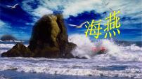 人教部编版九年级下册4 海燕教学演示课件ppt