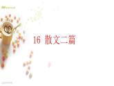 16 散文两篇 课件