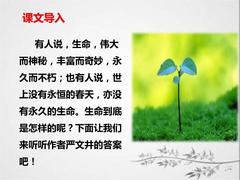 第16课《散文二篇：永久的生命》课件 部编版语文八年级上册01