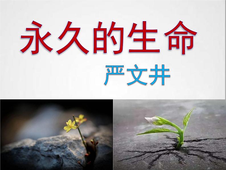 第16课《散文二篇：永久的生命》课件 部编版语文八年级上册02