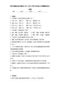 四川省眉山市丹棱县2021-2022学年九年级上学期期末语文试题(含答案)