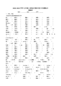 期中复习之基础知识专题训练  2022-2023学年部编版语文七年级上册