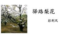2021学年第四单元15 驿路梨花授课ppt课件