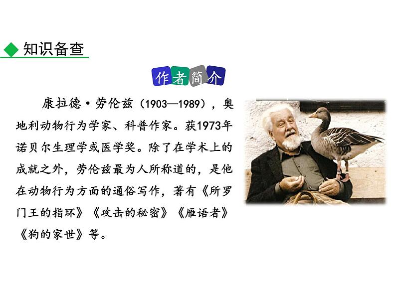 部编版七年级语文上册--17 动物笑谈（精品课件）04