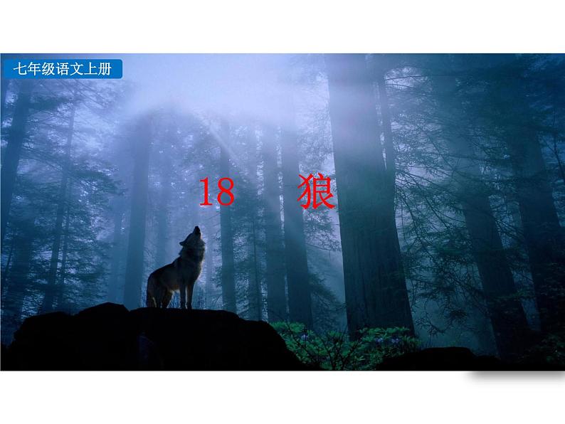 部编版七年级语文上册--18 狼（精品课件1）第5页