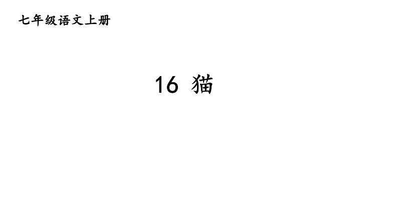 部编版七年级语文上册--16 猫（课件）01