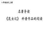 部编版八年级语文上册--名著导读 《昆虫记》 科普作品的阅读（优质课件）