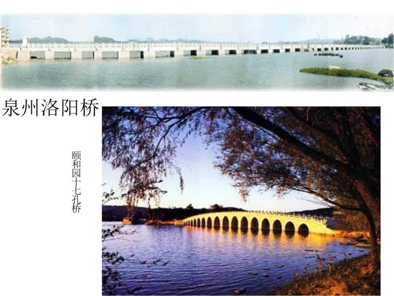 部编版八年级语文上册--18 中国石拱桥（精品课件2）03