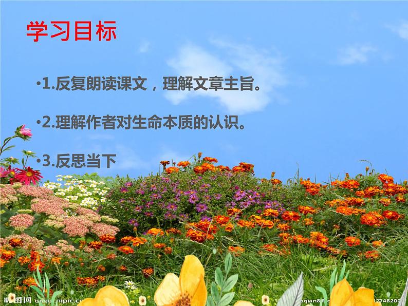 八年级上册语文16《永久的生命》第2页