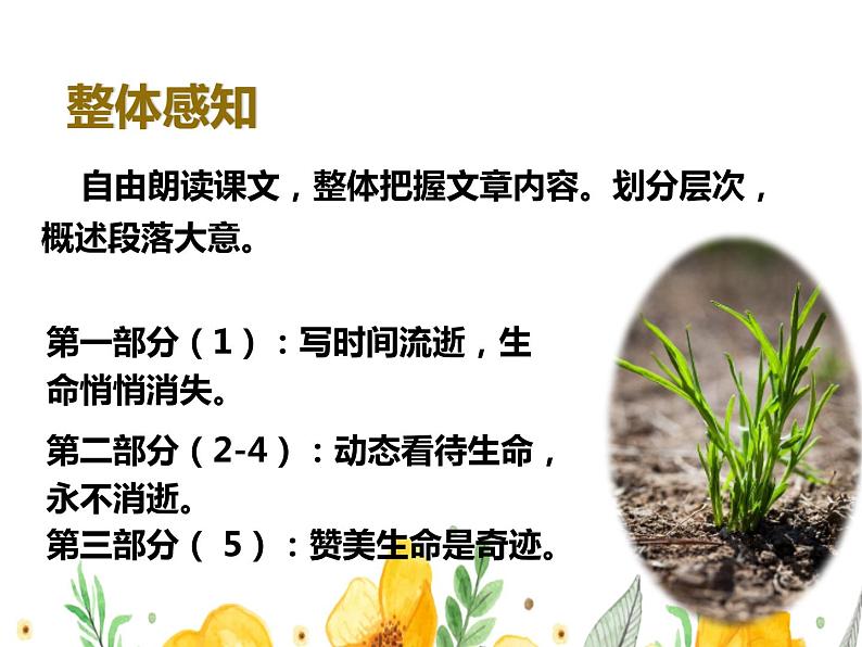 八年级上册语文16《永久的生命》第5页