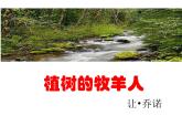 七年级上册语文13《植树的牧羊人》 课件