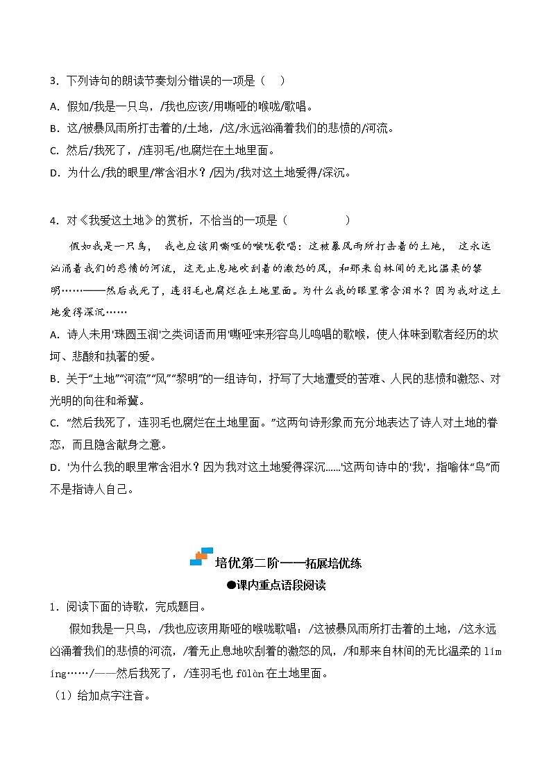 【培优分级练】部编版语文九年级上册 第3课《我爱这土地》培优分级练（含解析）02