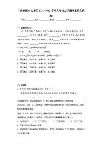广西钦州市钦北区2021-2022学年九年级上学期期末语文试题(含答案)
