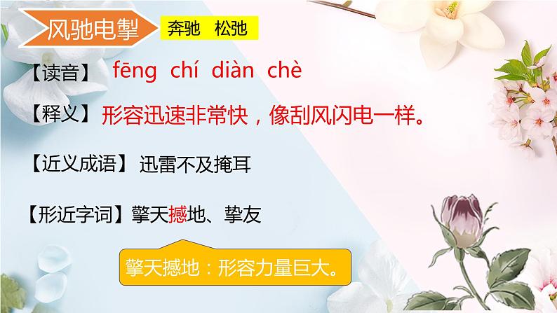 七年级上册期末基础知识总结课件第8页