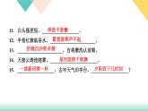 人教部编版语文八上  专题五 古诗文默写（练习课件PPT含答案）
