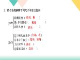 人教部编版语文八上  专题六 文言文基础训练（练习课件PPT含答案）