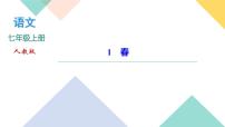 2020-2021学年1 春完整版课件ppt