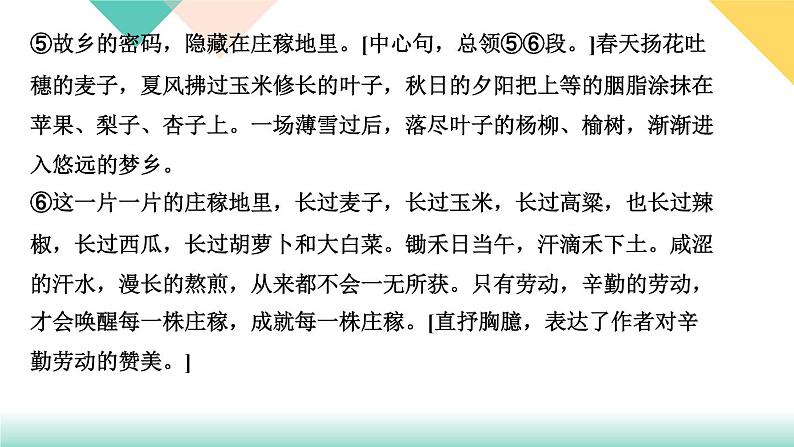 人教部编版语文七上  修辞手法的作用（同步练习课件PPT）第5页