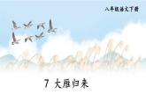 人教部编版八年级语文下册 第二单元 7 大雁归来【考点精讲版】 PPT课件