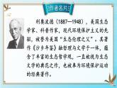 人教部编版八年级语文下册 第二单元 7 大雁归来【考点精讲版】 PPT课件