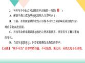 1《消息二则》课件PPT+导学案+练习课件+课文朗读
