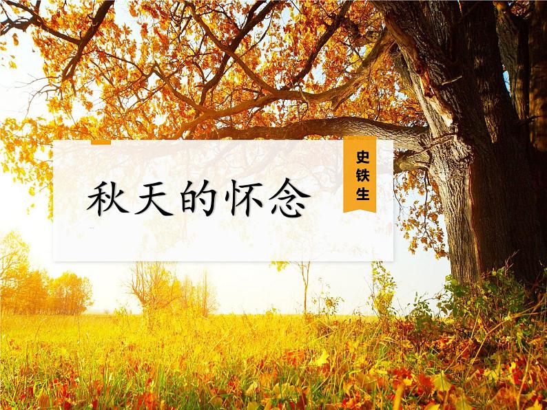 第5课《秋天的怀念》课件   部编版语文七年级上册第2页