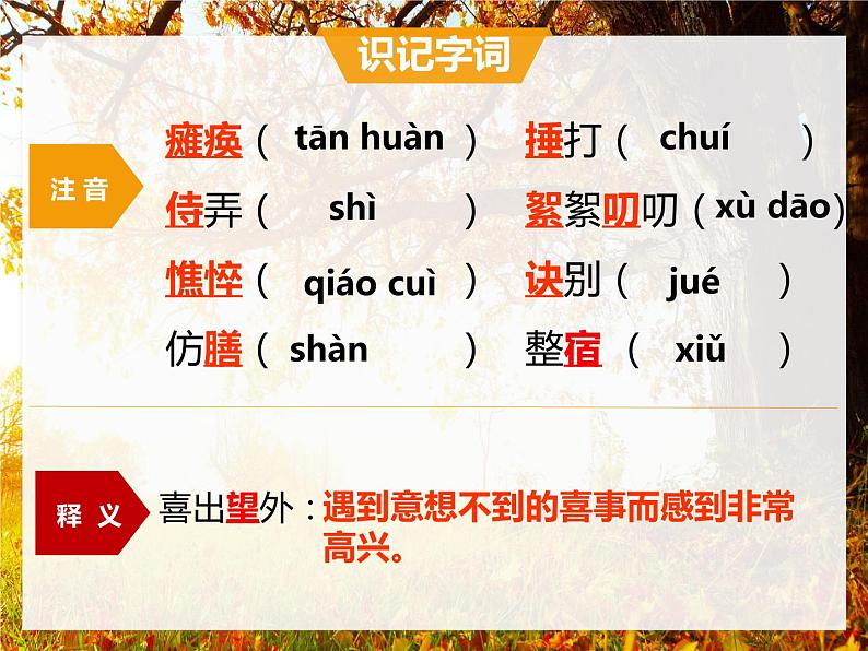 第5课《秋天的怀念》课件   部编版语文七年级上册第4页