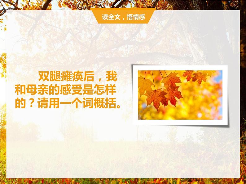 第5课《秋天的怀念》课件   部编版语文七年级上册第5页