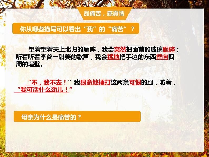 第5课《秋天的怀念》课件   部编版语文七年级上册第6页