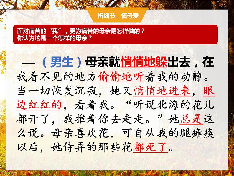 第5课《秋天的怀念》课件   部编版语文七年级上册第8页