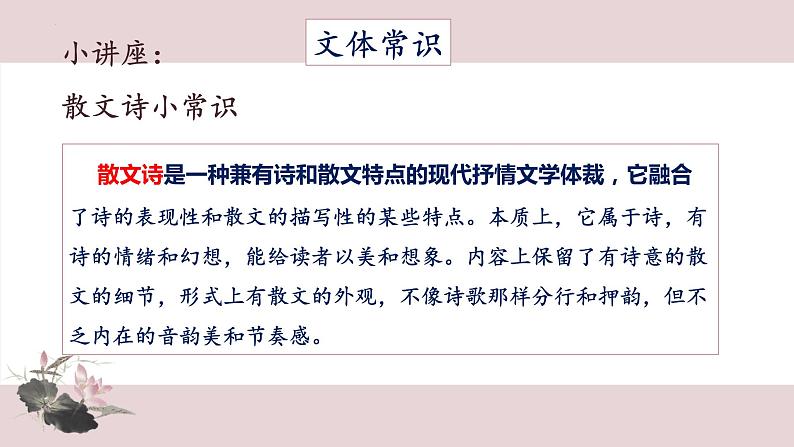 第7课《荷叶·母亲》课件    部编版语文七年级上册04