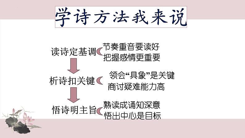 第7课《荷叶·母亲》课件    部编版语文七年级上册06