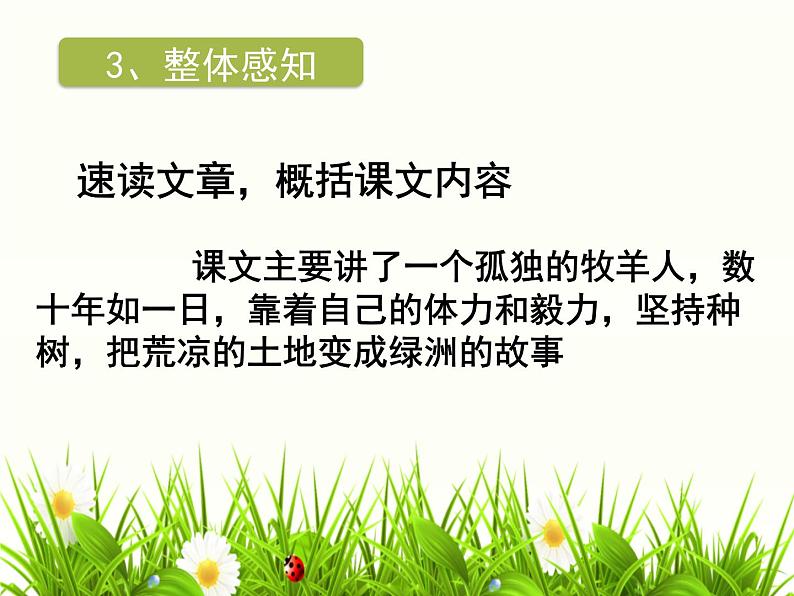 第13课《植树的牧羊人》课件   部编版语文七年级上册07