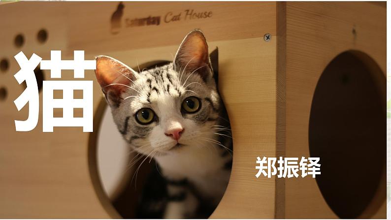 第16课《猫》课件   部编版语文七年级上册第5页