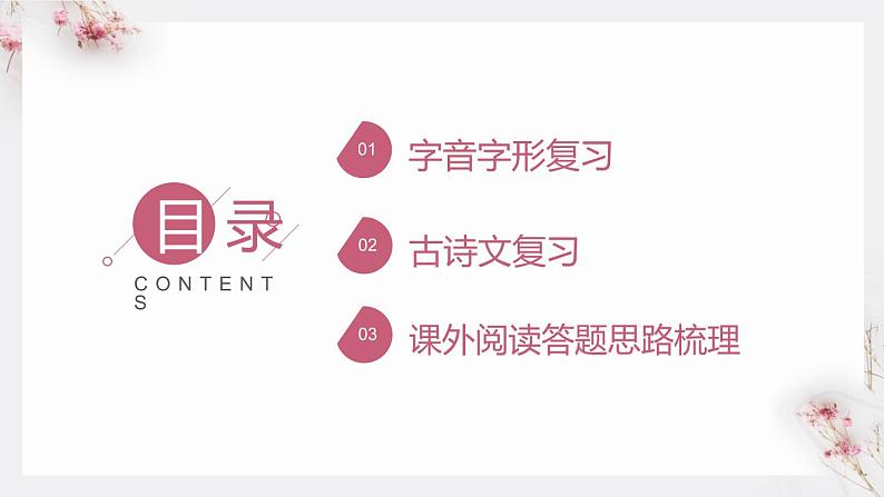 2022-2023学年部编版语文八年级上册期末复习课件02